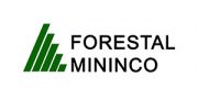 cliente-campo-digital-forestal-mininco