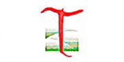 cliente-campo-digital-fundacion